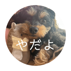 youyouyou_20241112113053