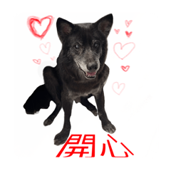胖yo 日常