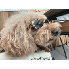moo_20000603