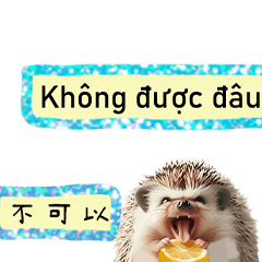 Cute greetings to cute hedgehogs-4