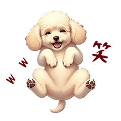 Toy Poodle [Winter]  New Year holidays