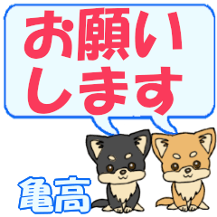 Kamedaka's letters Chihuahua2