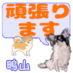 Shigiyama's letters Chihuahua