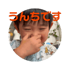 sy_20241113064754