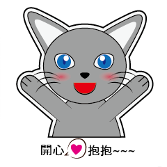 Arrogant little gray cat