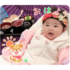 mik_20241112205700