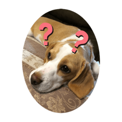 Fumufumu_20241112234238