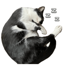 Emmmm_20241113112927