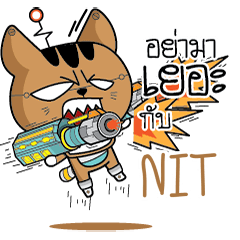 NIT Robot cat e