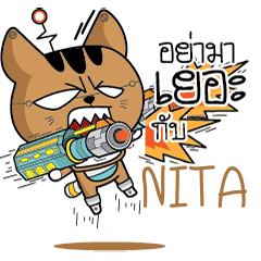 NITA Robot cat e