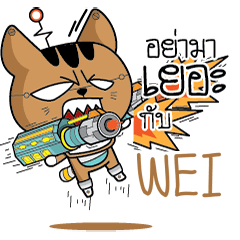 WEI Robot cat e