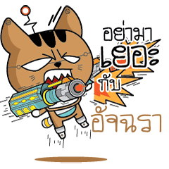 ACHARA Robot cat