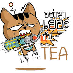 TEA Robot cat e