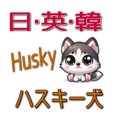 Husky dogs Japanese English Korean