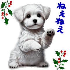 Daily Stickers of a White Maltese