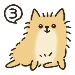 Cheese the Pomeranian 03