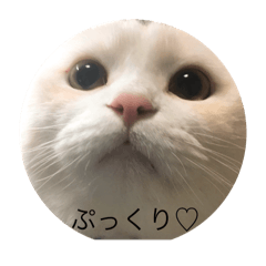 KONATSU_20241112230641