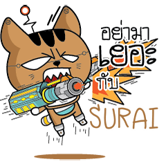 SURAI Robot cat e