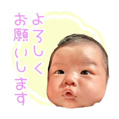 JUNKO_20241113172843