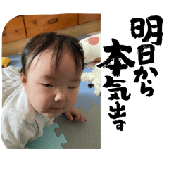 ye_20241113174833