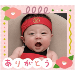 mitsuki_20241113182857