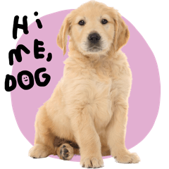 otto puppy loves u :)