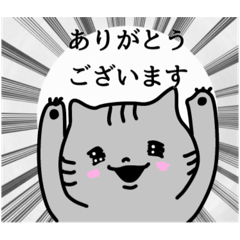 しましま、時々ブチ（猫）