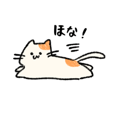 Cat Yabe-