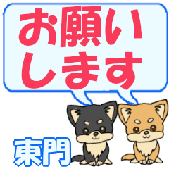 Higashimon's letters Chihuahua2