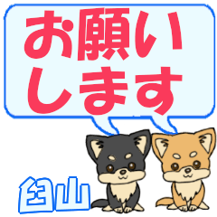 Usuyama's letters Chihuahua2