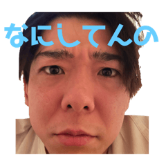 shark_20241113221019