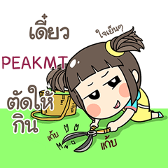 PEAKMT ข้าวซอย e