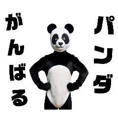 Panda suit 4