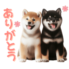 よく使う！パステル文字♡柴犬&黒柴