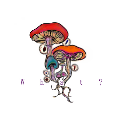 sharlene_20241114143438