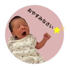 syo_20241114155413