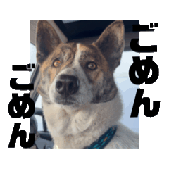 hana0515_20241114223431