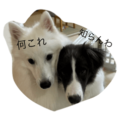 Renren_20241114210539