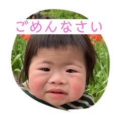 Nyao_20241114195037