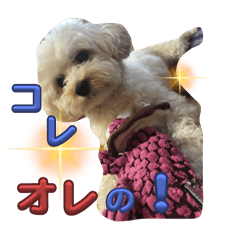 ライのeveryday life③
