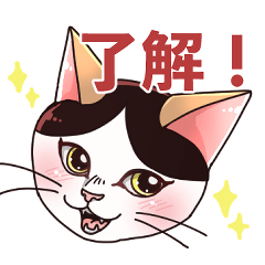 Calico Mike-chan