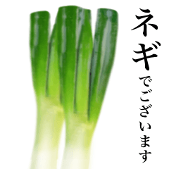 Delicious Spring onion 2