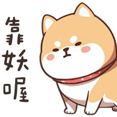 Exaggerated Shiba