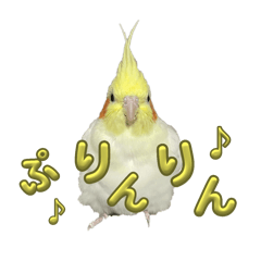 Suzuki Family Birds
