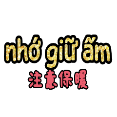 Vietnamese_Chinese_5