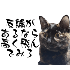 nekosamanogeboku_20241115020736