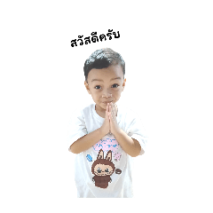 PP&PP_20241115122941