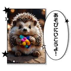 Passionate Hedgehog