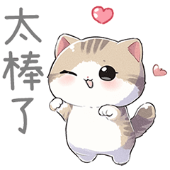 Little Cat - Hua Hua4