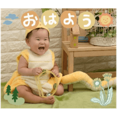 Hokori_20241115173858